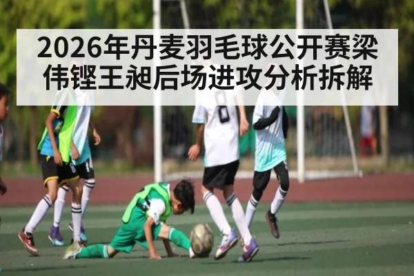 2026年丹麦羽毛球公开赛梁伟铿王昶后场进攻分析拆解